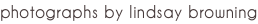 shapeimage_22_link_0
